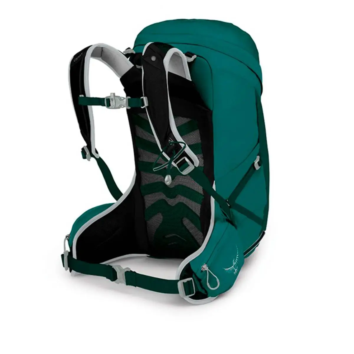 Osprey Tempest 24 Jasper Green 4 Osprey Tempest 24 Jasper Green - Bilde 4