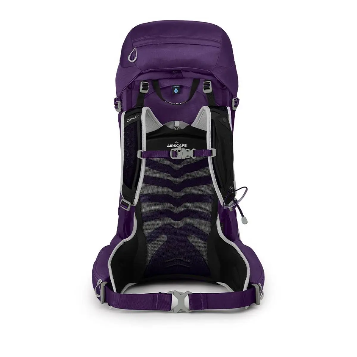 Osprey Tempest 40L Violac Purple 3 Osprey Tempest 40L Violac Purple - Bilde 3