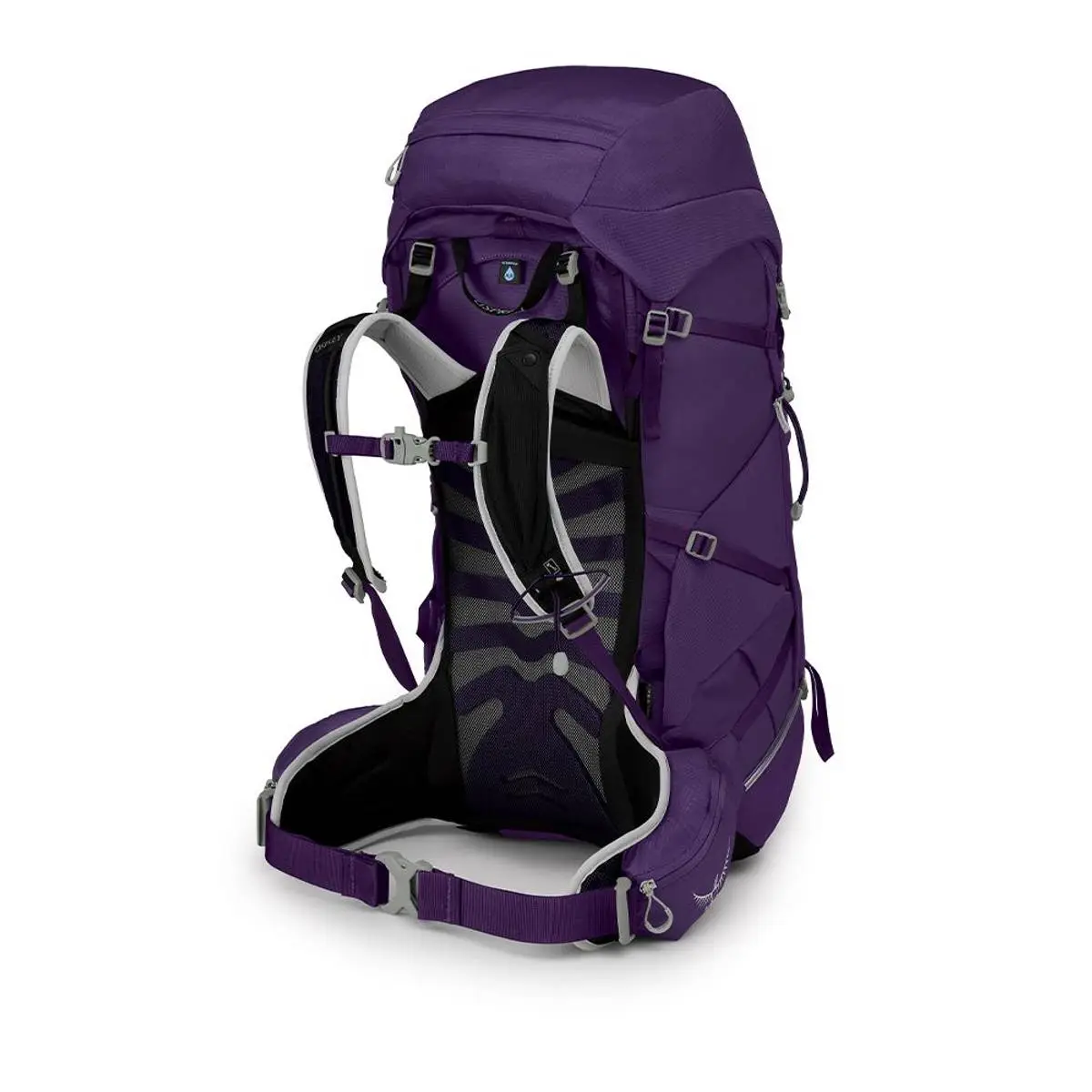 Osprey Tempest 40L Violac Purple 4 Osprey Tempest 40L Violac Purple - Bilde 4