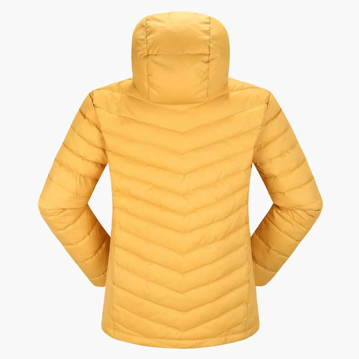 Skogstad Sølvøyna Bright Gold 2 Skogstad Sølvøyna Bright Gold - Bilde 2