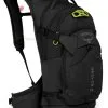 Osprey Raptor 14L Black